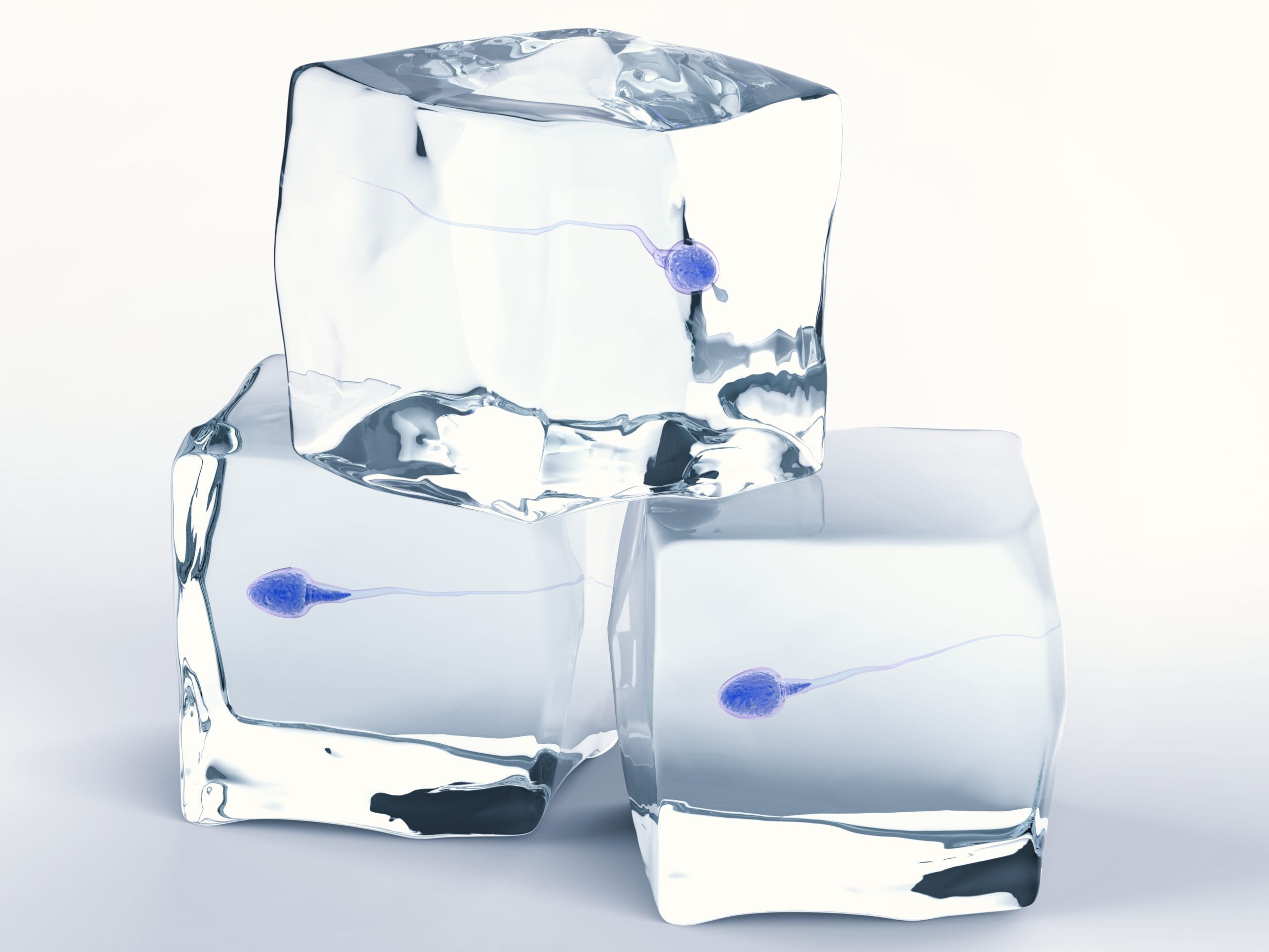 Proses pembekuan sperma (sperm freezing)