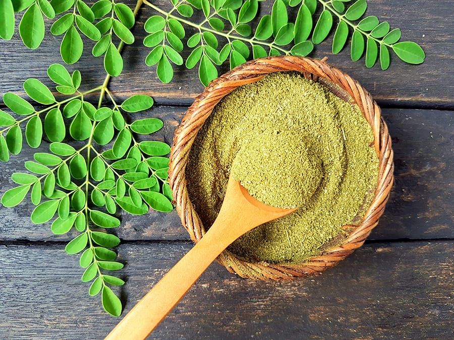 Manfaat Daun Kelor