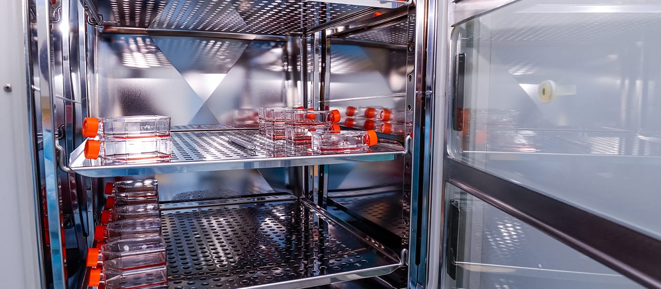 LAYANAN INKUBATOR VIP: TIME LAPSE