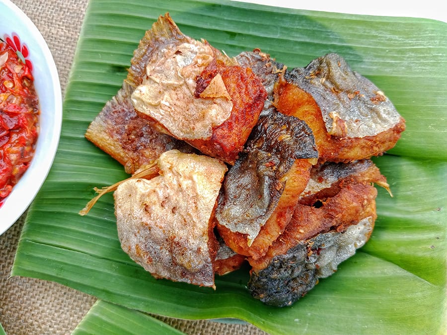 Manfaat Ikan Patin untuk Ibu Hamil