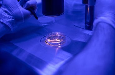 Metode Bayi Tabung ICSI dan IMSI untuk Meningkatkan Peluang Kehamilan