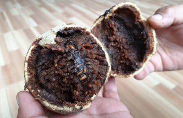 Keajaiban Nutrisi Buah Kawista untuk Kesehatan Ibu Hamil