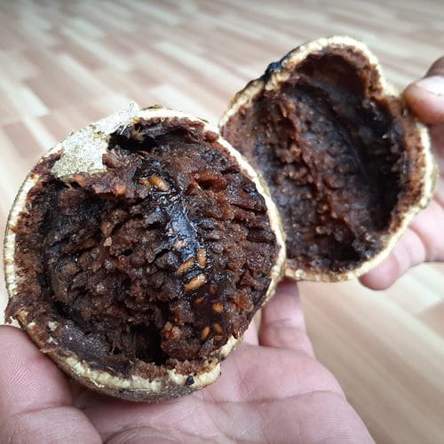 Keajaiban Nutrisi Buah Kawista untuk Kesehatan Ibu Hamil