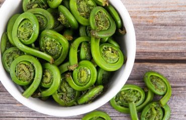 manfaat sayur pakis untuk ibu hamil