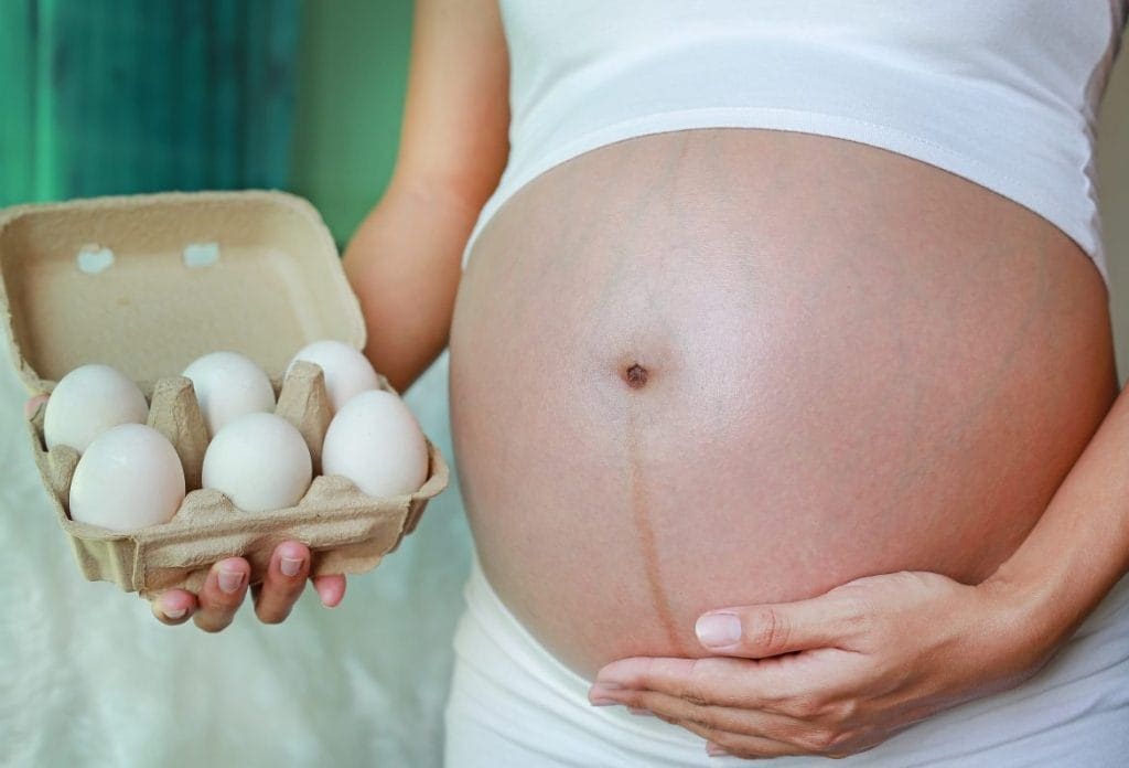 Manfaat Telur Bebek untuk Ibu Hamil dan Janin