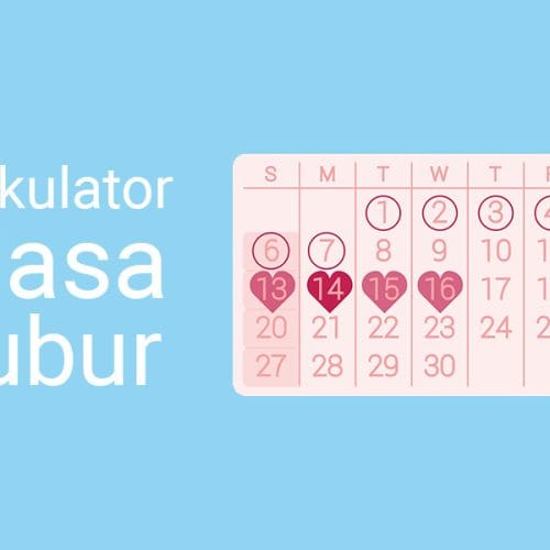 Kalkulator Masa Subur Wanita – Hitung Jadwal Ovulasi
