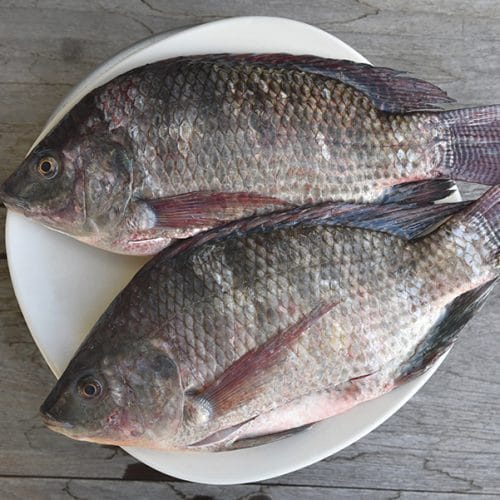 Manfaat Ikan Mujair untuk Ibu Hamil: Kandungan Nutrisi dan Cara Mengolahnya
