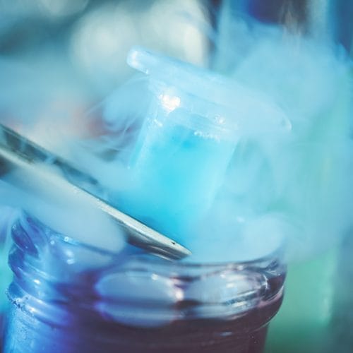 Mengenal Egg Freezing (Pembekuan Sel Telur) bagi Kesuburan