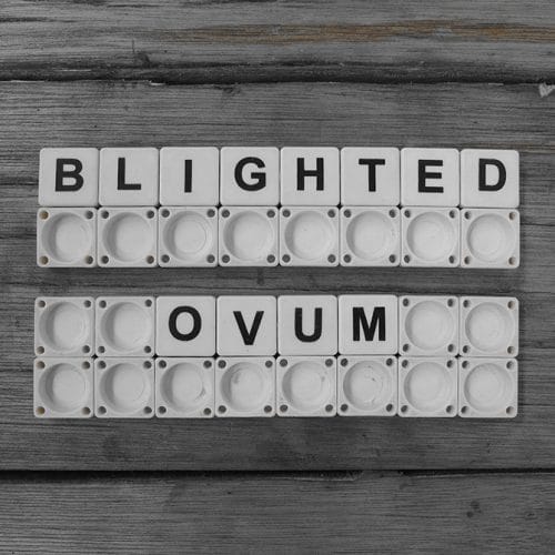 Apa Itu Blighted Ovum atau Kehamilan Kosong? Ini Tanda dan Penyebabnya