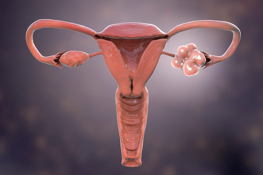 Fungsi Ovarium dalam Sistem Reproduksi Wanita