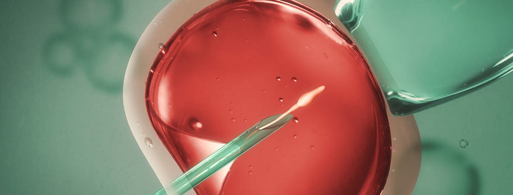 inseminasi inseminasi