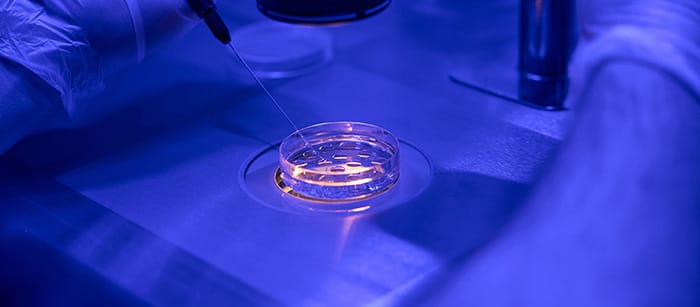 Metode Bayi Tabung ICSI IMSI untuk Meningkatkan Peluang Kehamilan