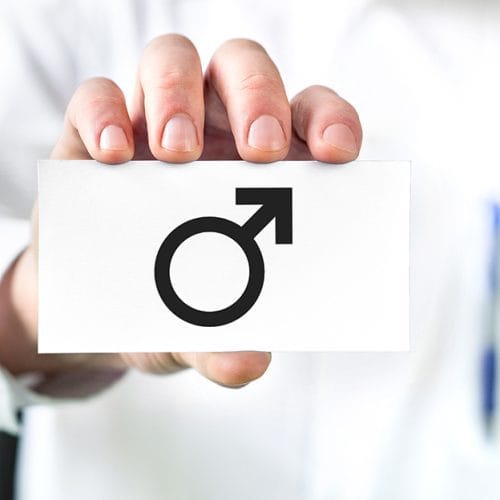 Mengenal Anatomi Sistem Reproduksi Pria