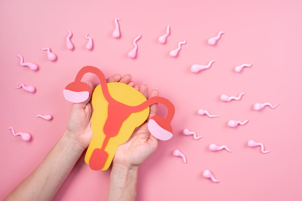 Oogenesis adalah Proses Pematangan Sel Telur, Ini Tahapannya