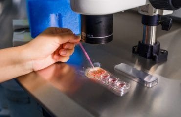 Teknologi Reproduksi Berbantu