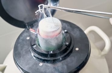 kelebihan dan kekurangan pembekuan sel telur