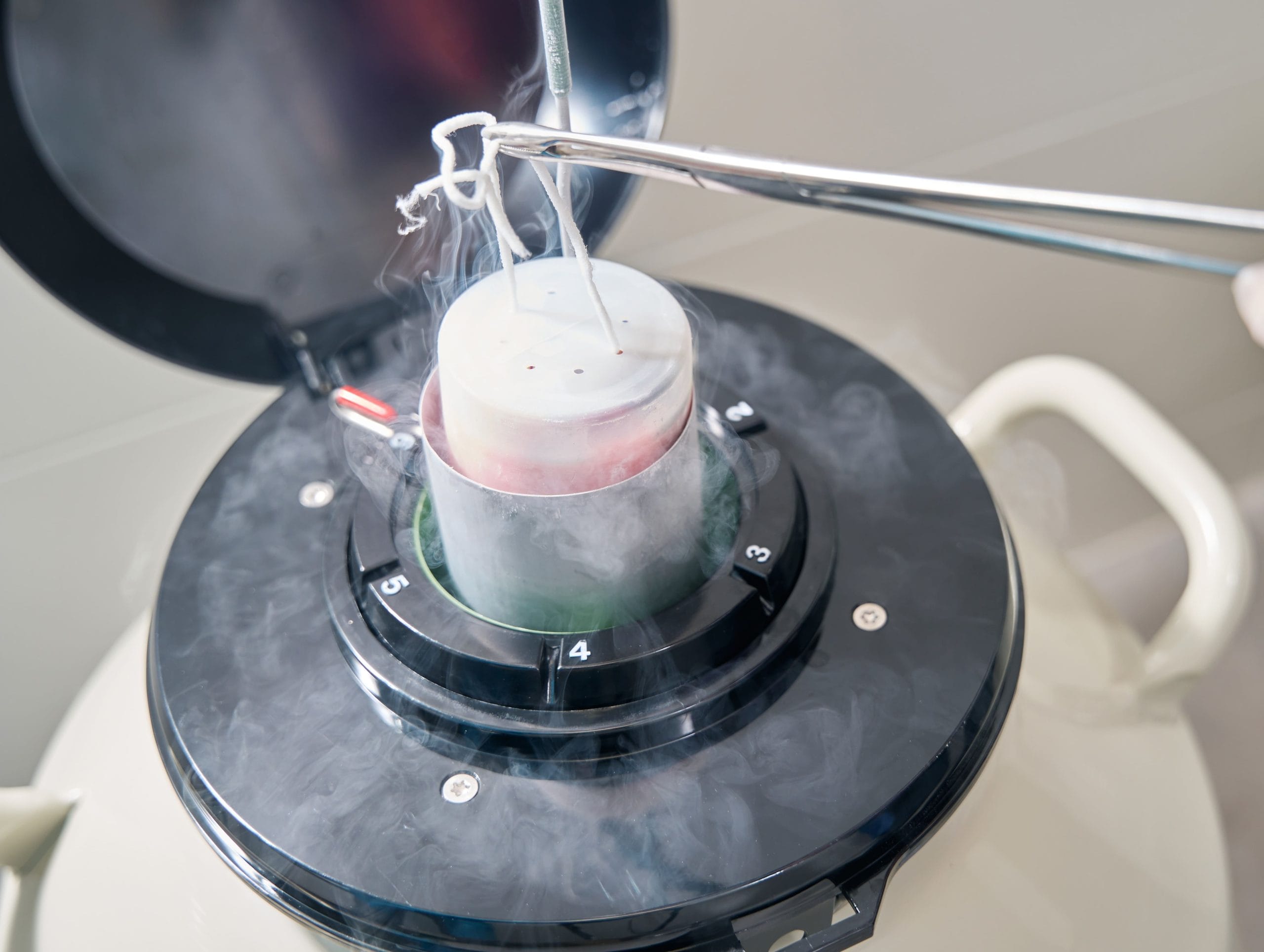 kelebihan dan kekurangan pembekuan sel telur