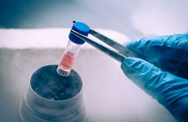 tujuan pembekuan sel telur