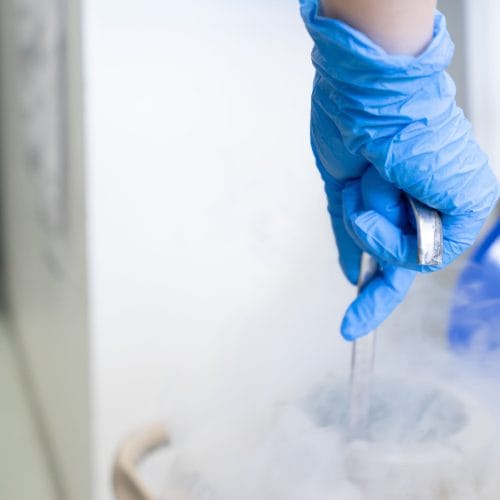 Kisaran Biaya untuk Pembekuan Sel Telur (Egg Freezing)