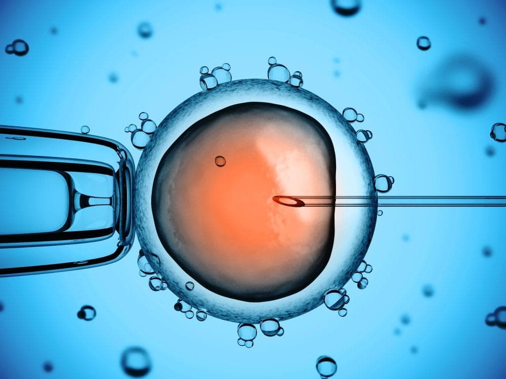 Apa Itu Inseminasi Buatan? Prosedur, Fungsi, Efek Samping