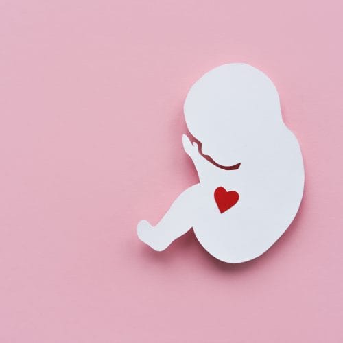 Ciri-ciri Implantasi Embrio Berhasil dalam Program IVF
