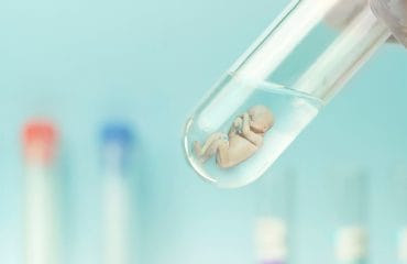 prosedur transfer embrio