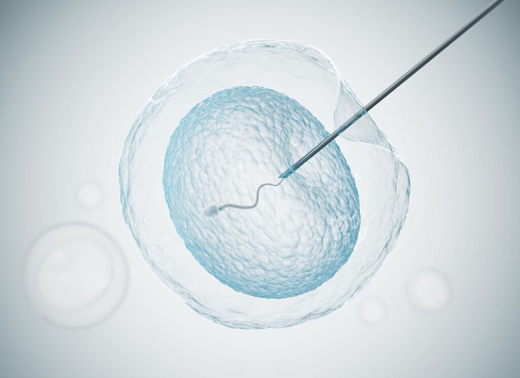 Kapan Waktu Terbaik untuk Inseminasi Buatan (IUI)?