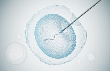 Waktu Terbaik untuk Inseminasi Buatan