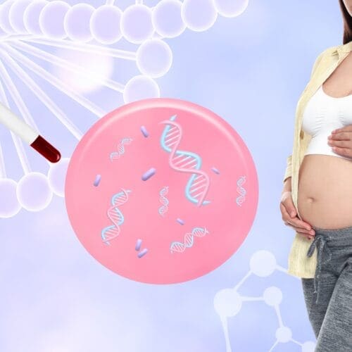 Mengenal Tes NIPT (Skrining Prenatal Noninvasif) Ibu Hamil