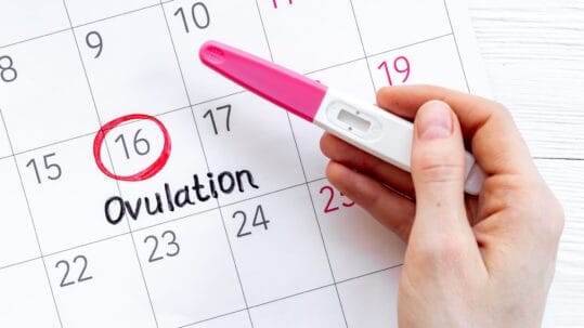 Perbedaan Masa Subur dan Ovulasi