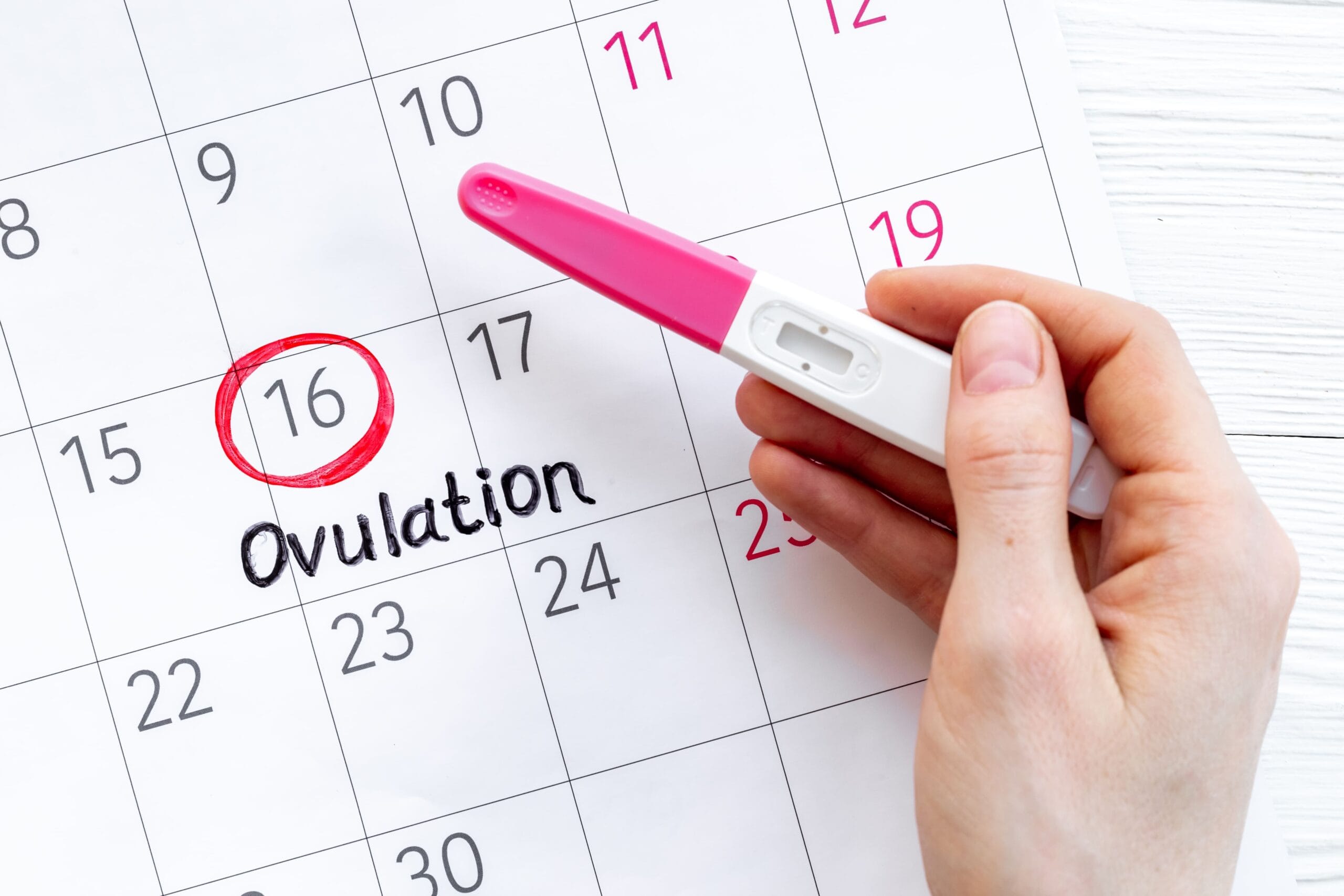 Perbedaan Masa Subur dan Ovulasi