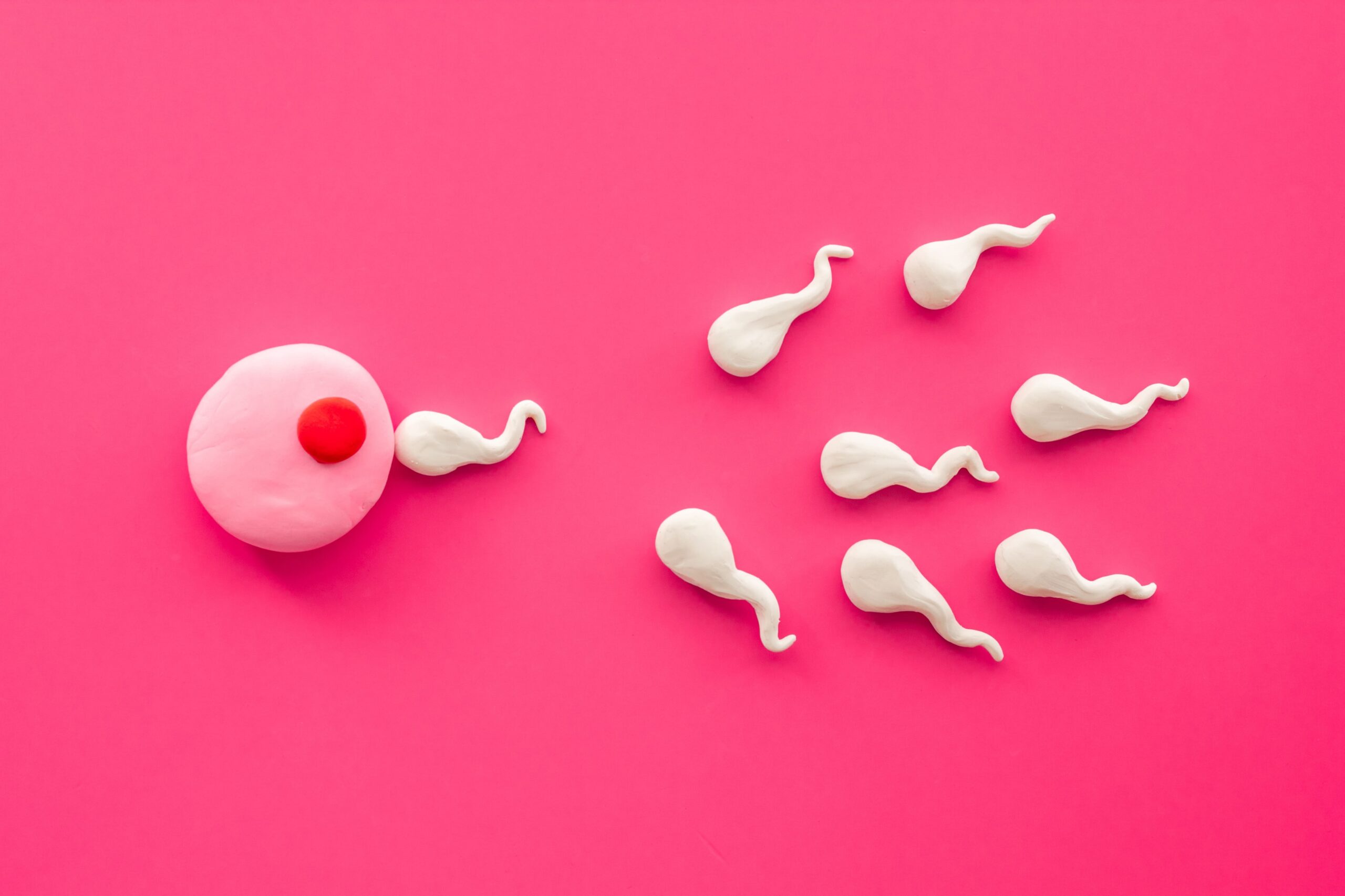 Tahapan Pengaruh Usia pada Kualitas Ovum (Sel Telur) Wanita