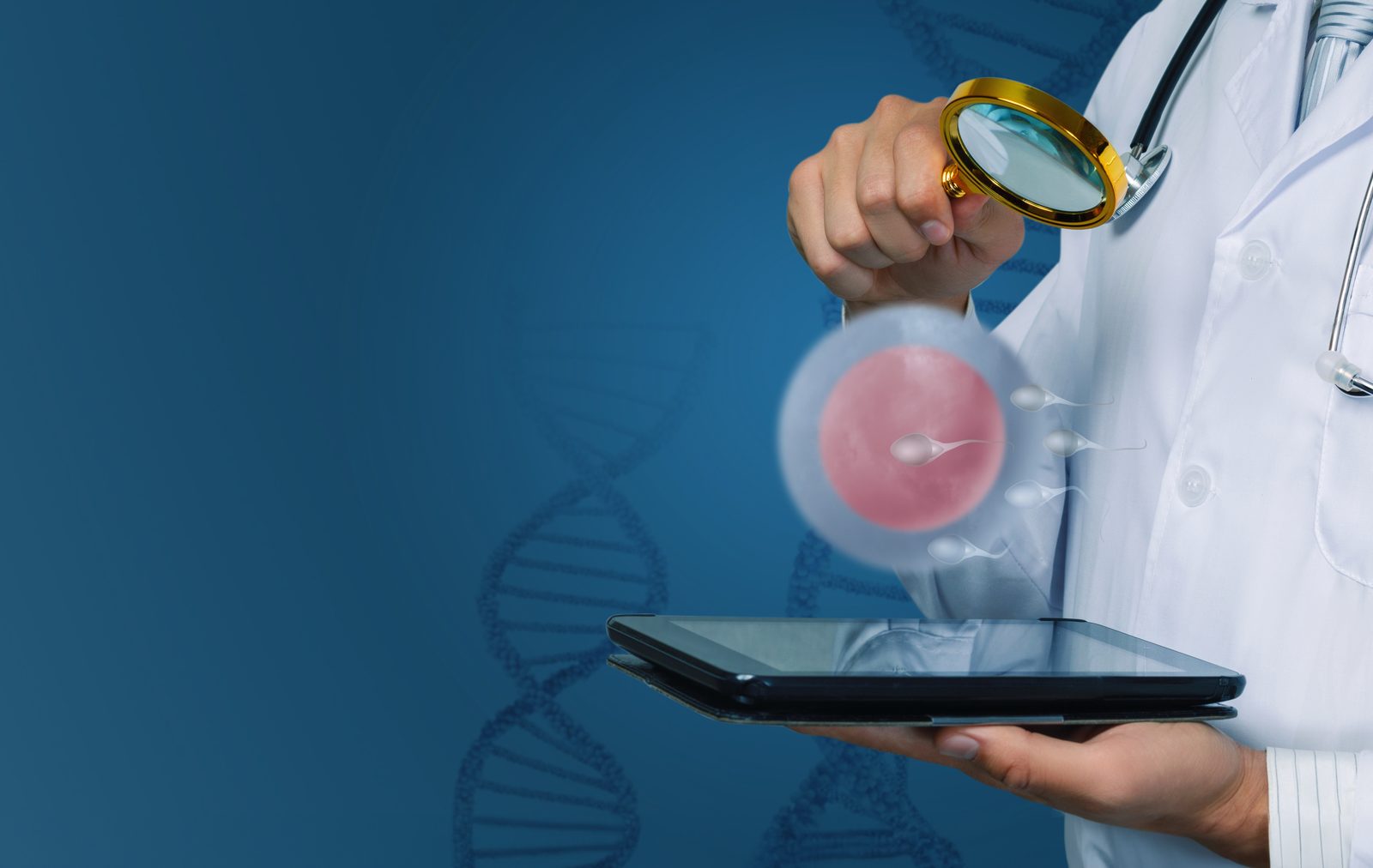 DNA Fragmentation Test